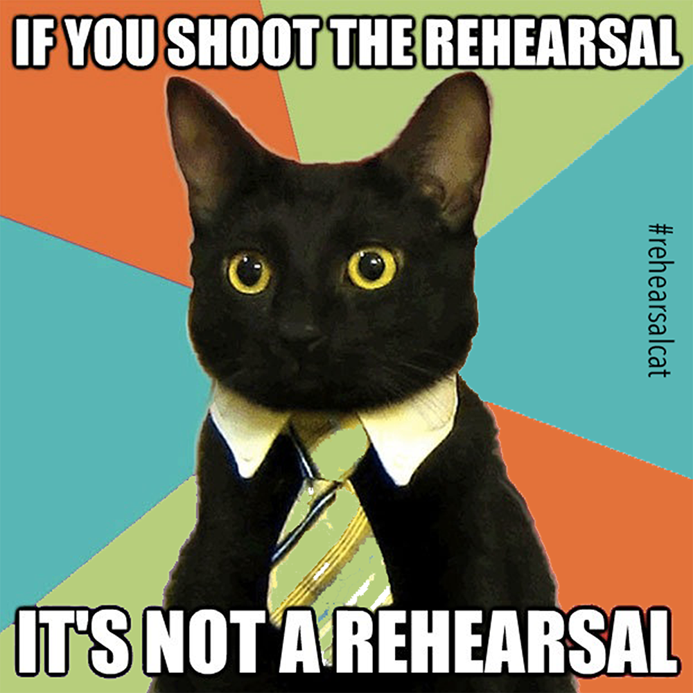 Rehearsal Cat Sticker